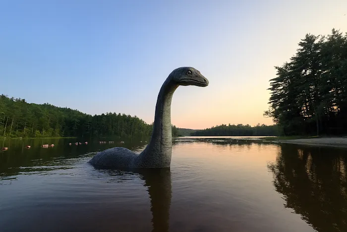 Beaver Pond Campground at Bear Brook State Park 5