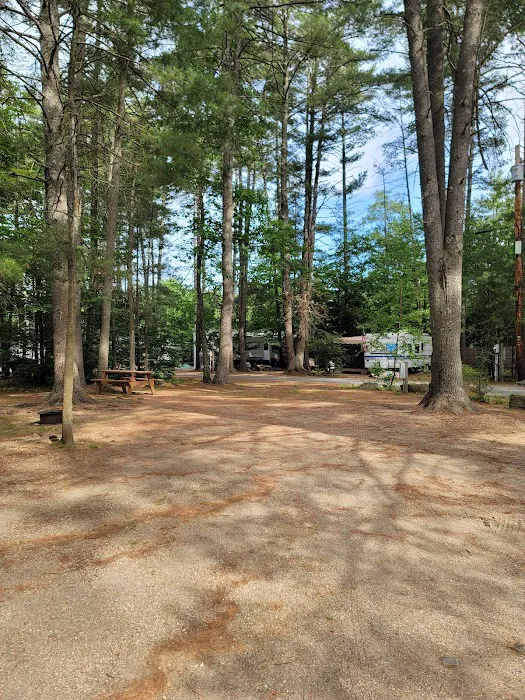 Pine Acres Campground 3