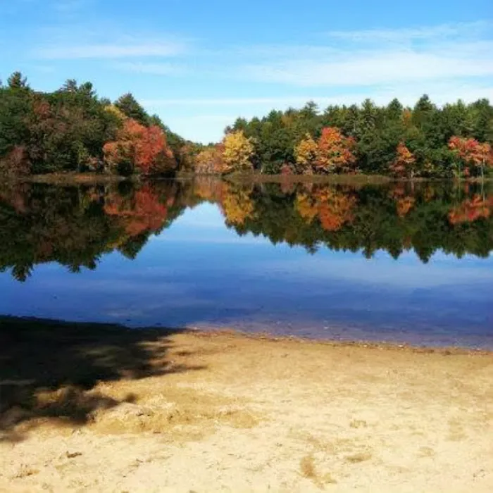 Pine Acres Campground 4