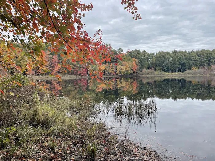 Pine Acres Campground 7