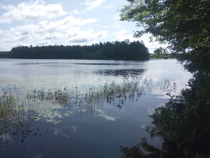 Lone Tree Camp & Cabins 9