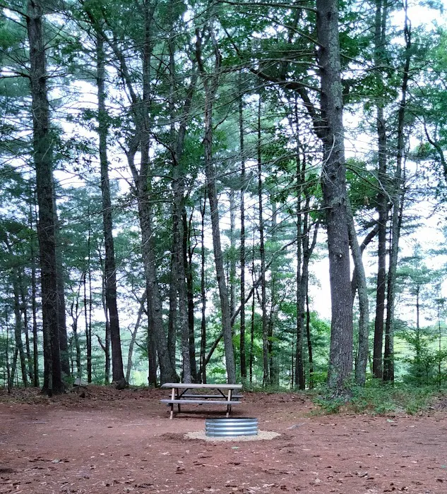 Lone Tree Camp & Cabins 3