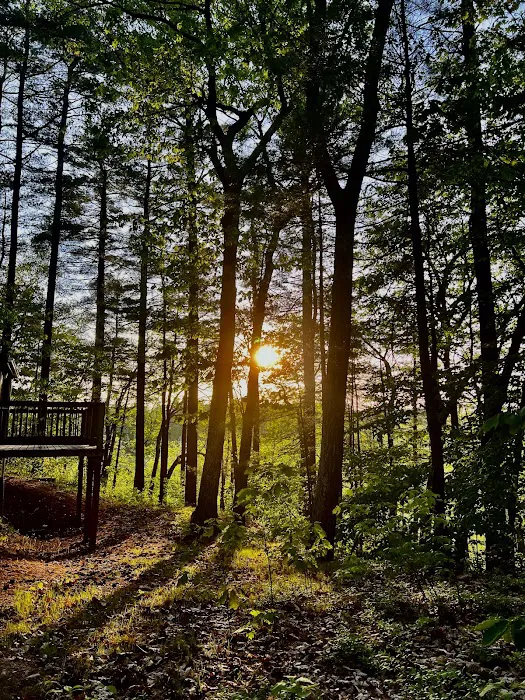 Lone Tree Camp & Cabins 5