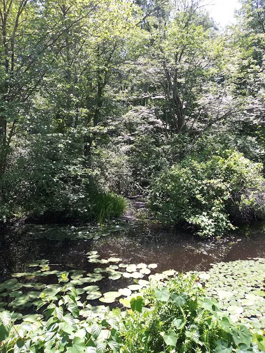 Golden Acres Family Campground 4