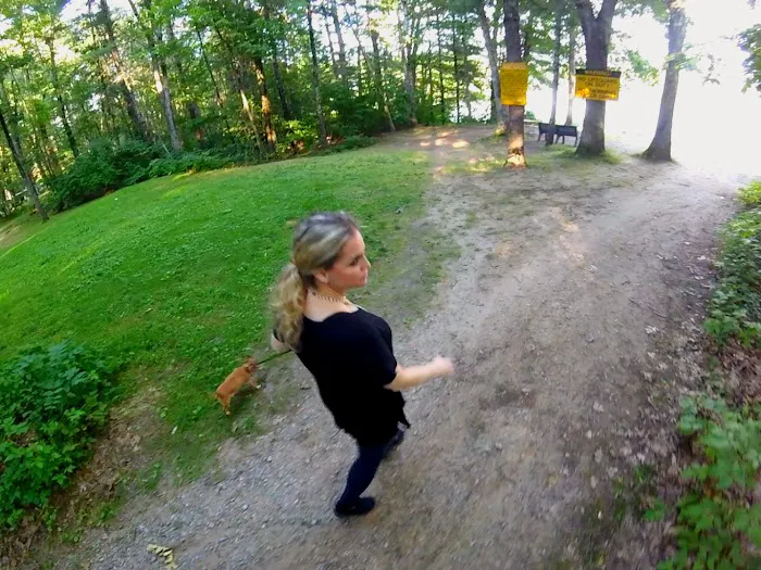 Country Shore Camping Area 1