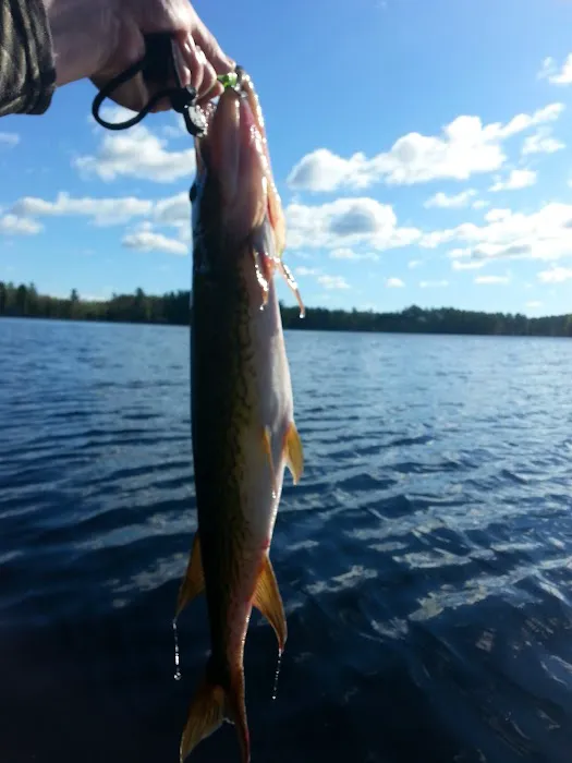 Whispering Pines Campground 5