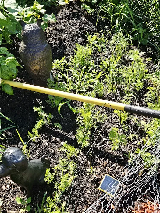 Kingston Cottage By The Lake 8