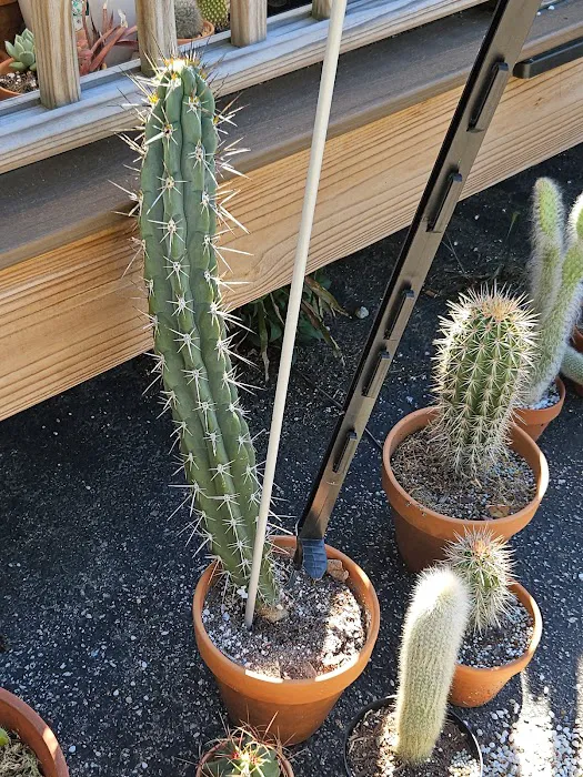 Kingston Cottage By The Lake 5