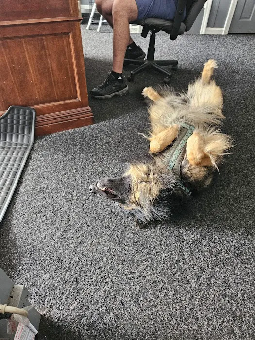 Kingston Cottage By The Lake 4