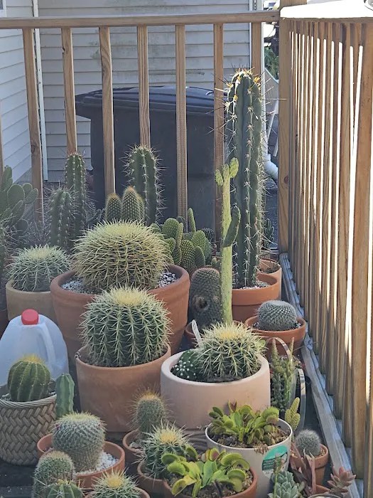 Kingston Cottage By The Lake 9