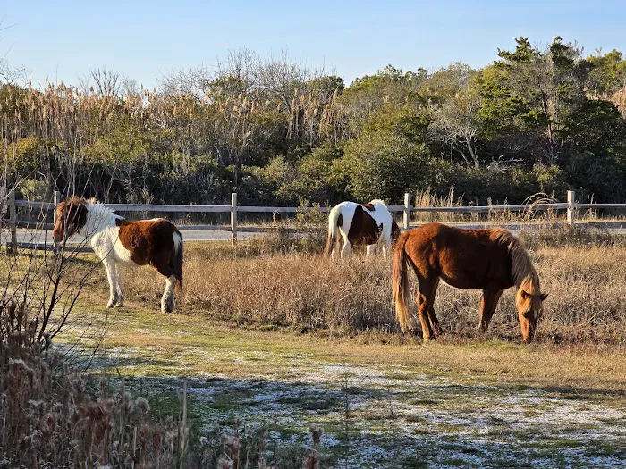 Horse Campground Reservation 0