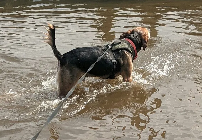 Rainbow Acres Campground 0