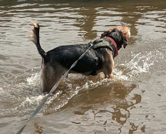 Rainbow Acres Campground