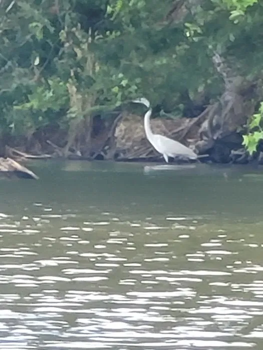 Newport News Parks Campsite Office 3