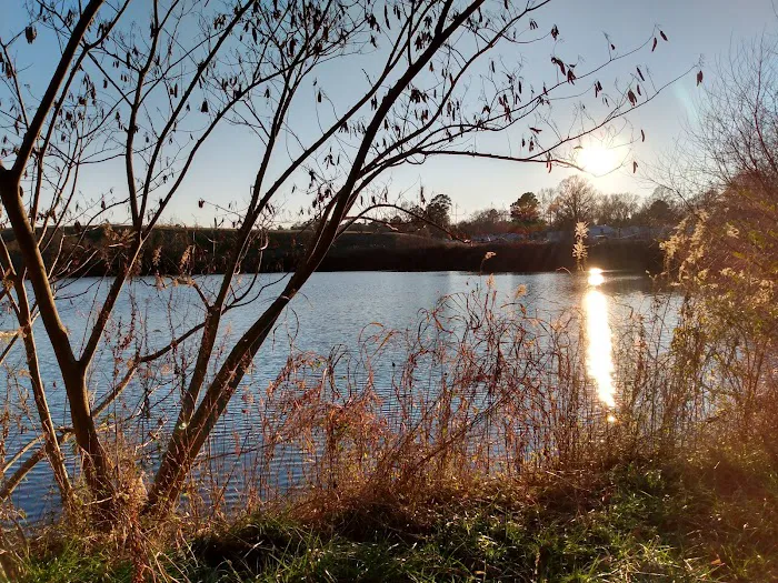 Loweman Court Trailer Park 4