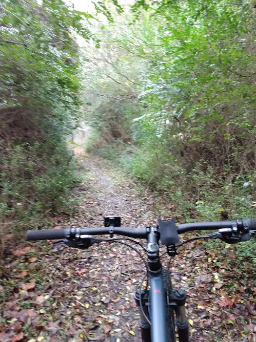 Loweman Court Trailer Park 9