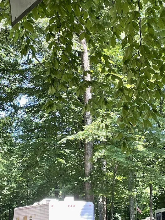 Carter's Cove Campground 5