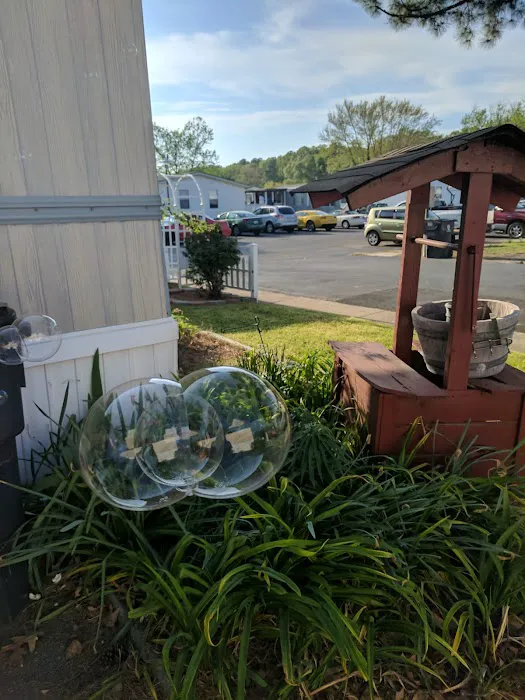 Americana Park East 7