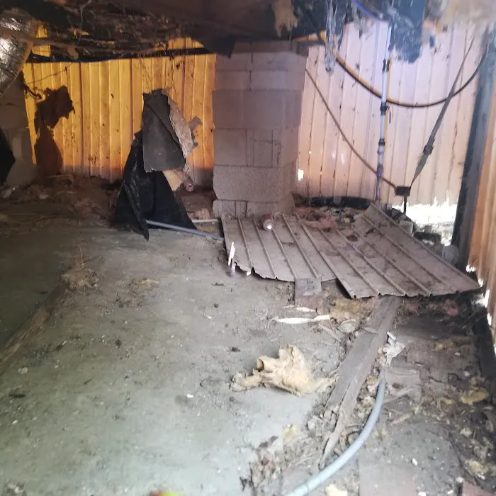 Shodon Management Co 0