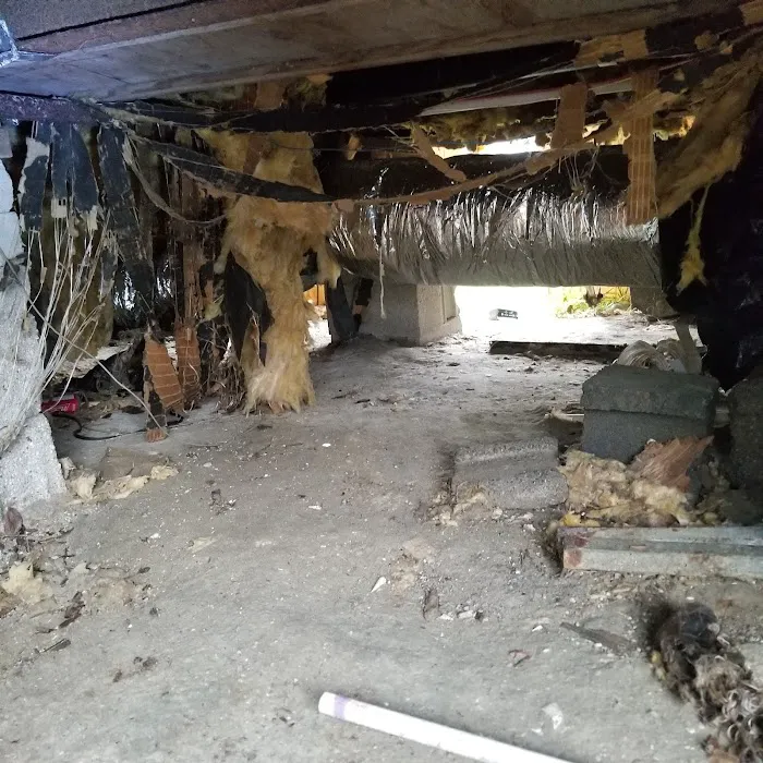 Shodon Management Co 1