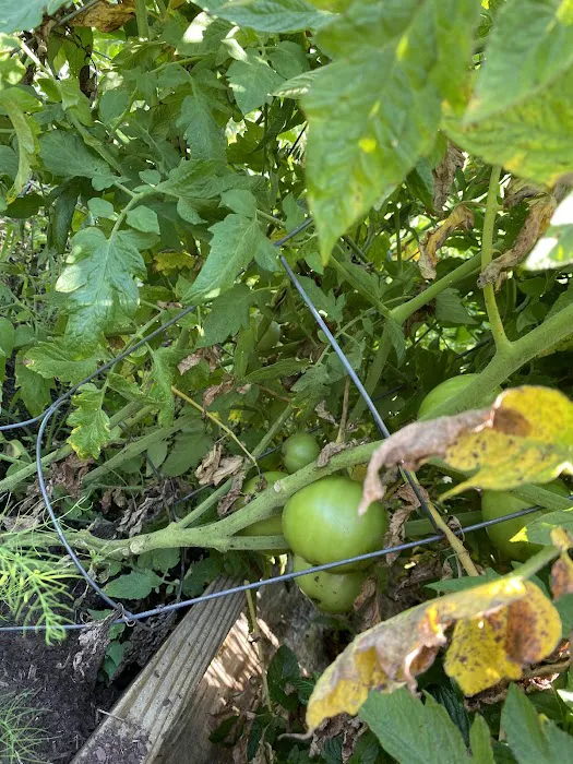 Grafton Mobile Home Park 2