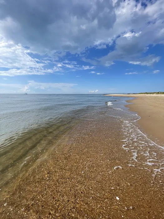 First Landing State Park Campground 1