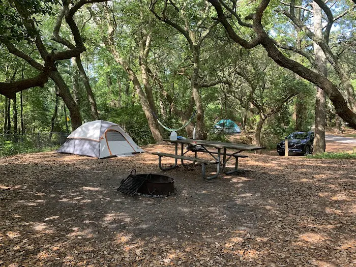 First Landing State Park Campground 7