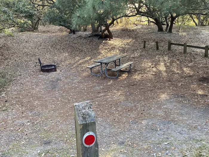 First Landing State Park Campground 2