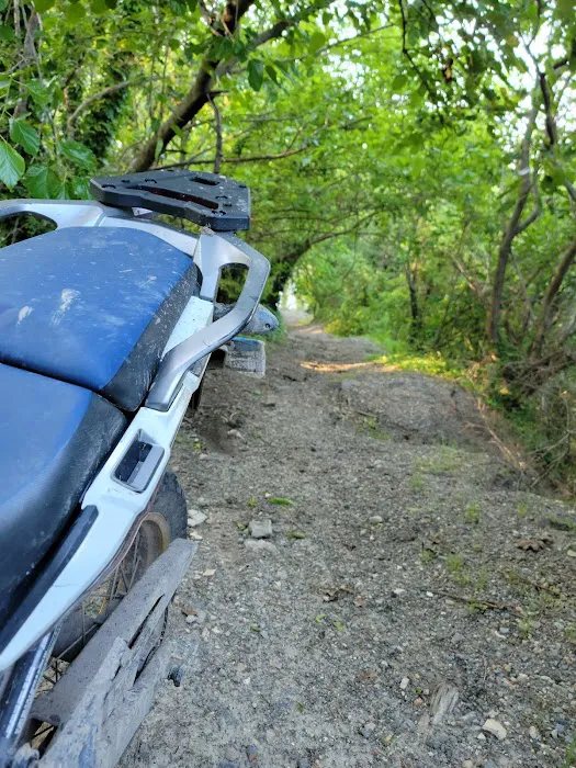 Colonial Run Mobile Home Park 1