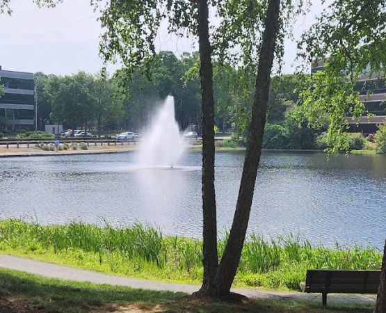 ParkLand Ventures, Inc