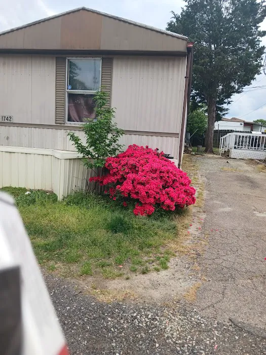 Suburban Mobile Village 2