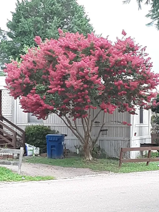 Suburban Mobile Village 3