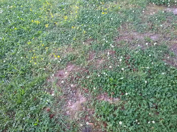 Worsham Mobile Home Park 0