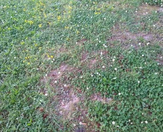 Worsham Mobile Home Park