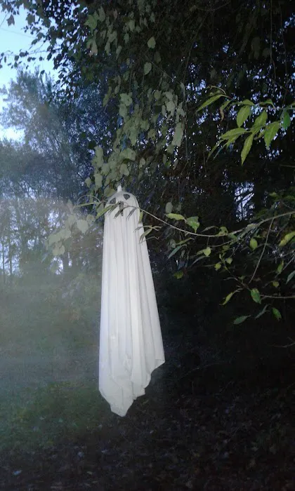 Cedar Mountain Campground 0