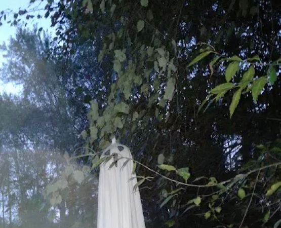 Cedar Mountain Campground