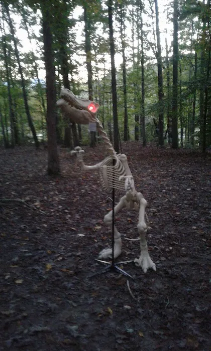 Cedar Mountain Campground 1