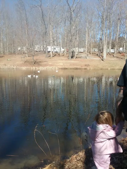 Cedar Mountain Campground 3