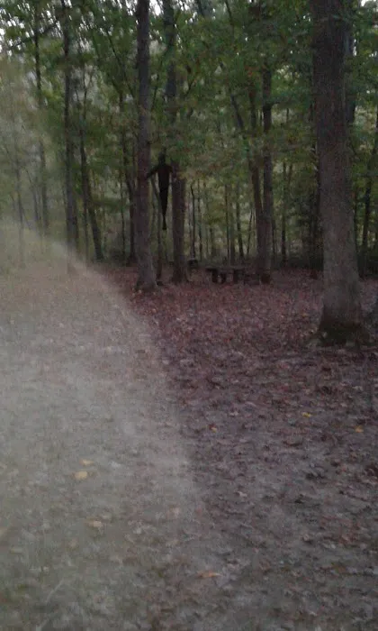 Cedar Mountain Campground 6