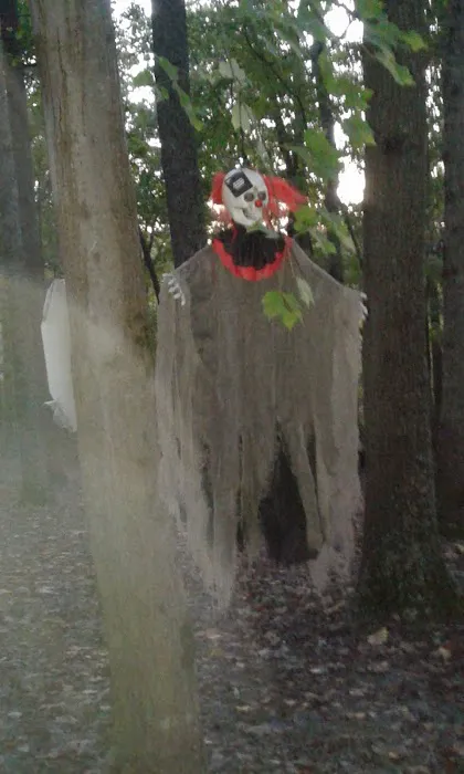 Cedar Mountain Campground 4