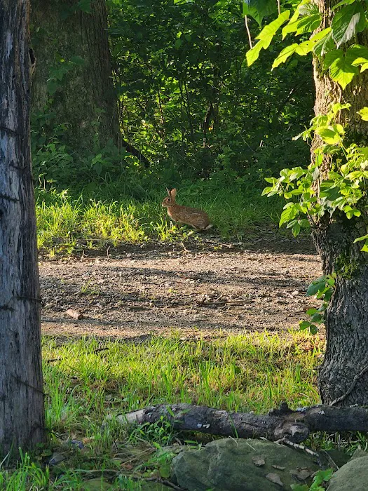 Sky Meadows Campground 3