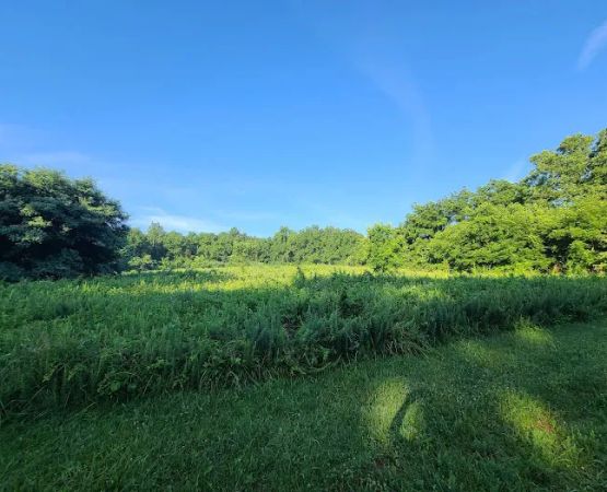 Sky Meadows Campground