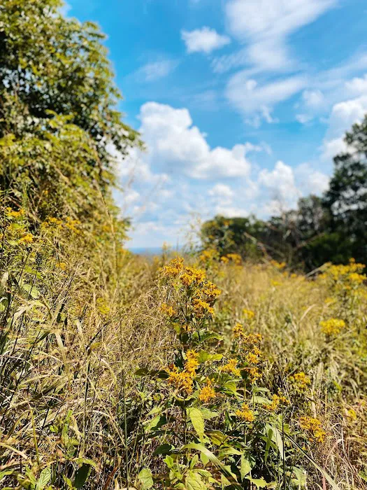 Blue Ridge Regional Park 9