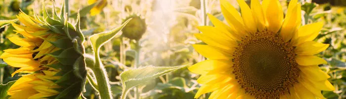 Galvins Manufactured Home Community 5