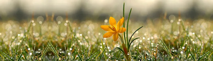 Galvins Manufactured Home Community 2