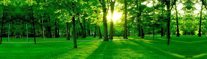 Galvins Manufactured Home Community 3