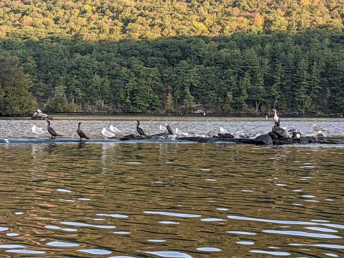 Turtle Island Campground 7