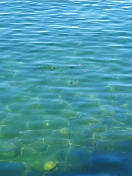 Juanita Island Campground #3 (dock) 2