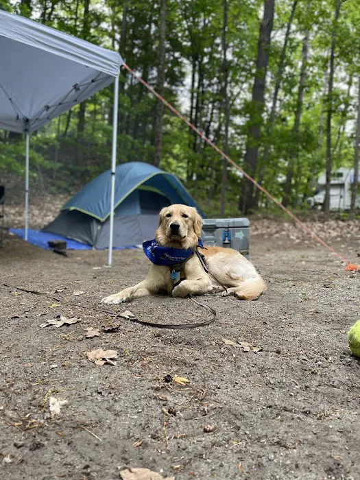 Eagle Point Campground 9