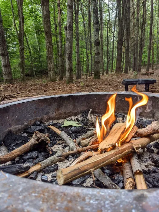 Scaroon Manor Campground 3